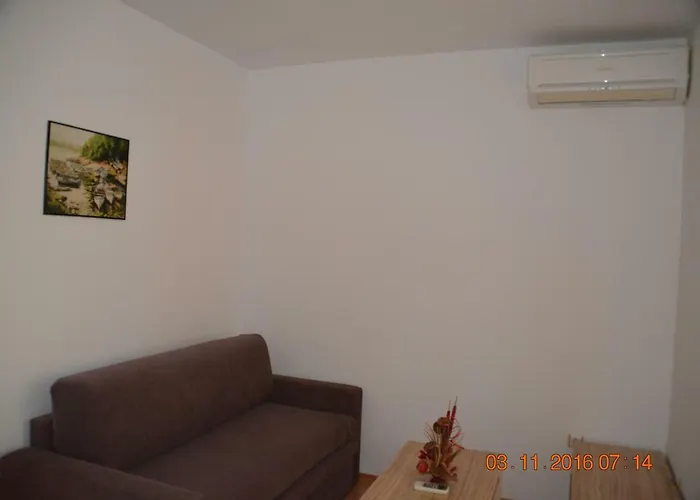 Guest Salena 써니비치