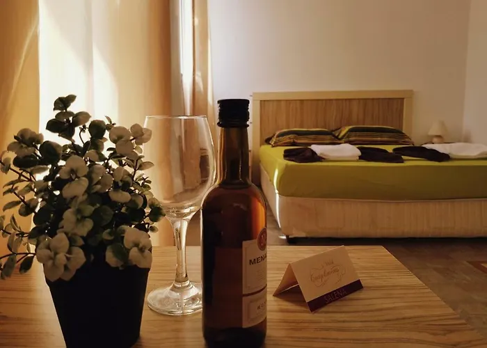 아파트호텔 Guest Salena