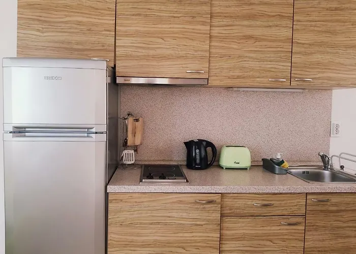 Guest Salena 아파트호텔 3*